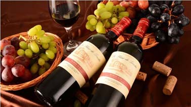 Wine tasting training of Tehchang-China tannery 