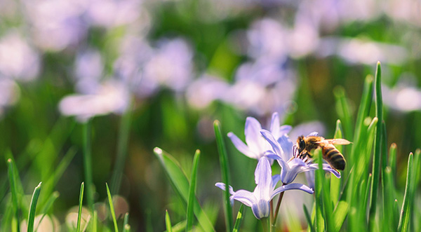 Air pollution prevention and treatment